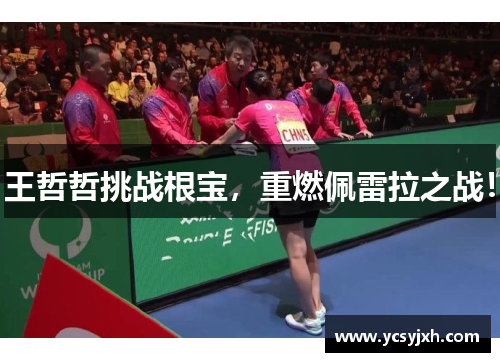 王哲哲挑战根宝，重燃佩雷拉之战！